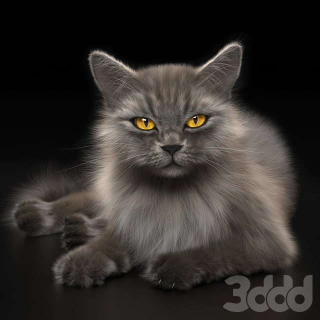 CAT 4 VRay