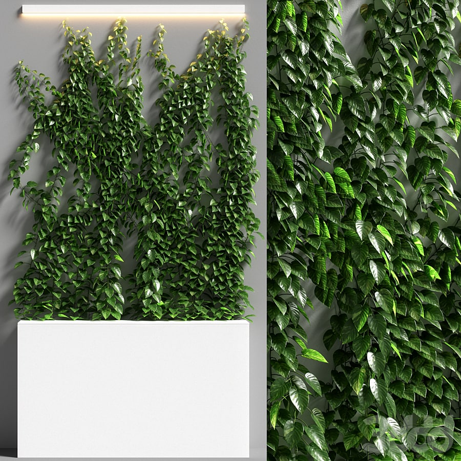 vertical garden 08