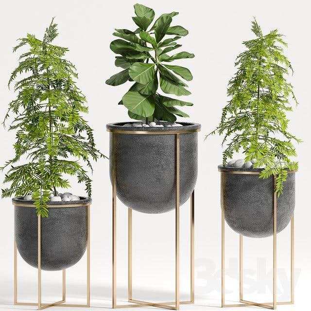 PLANT SET -80