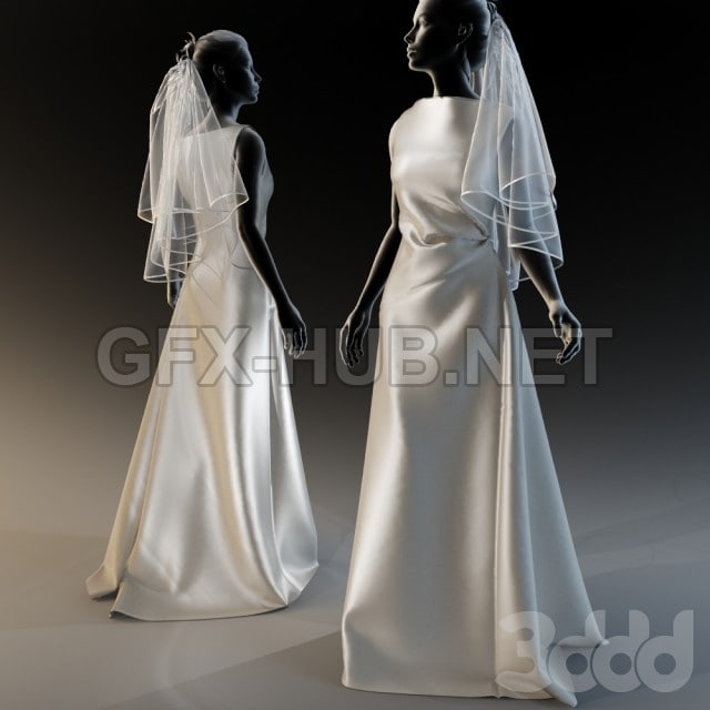 wedding dress with veil