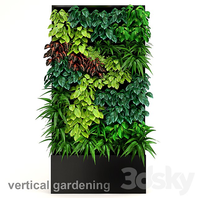 Vertical gardening 2