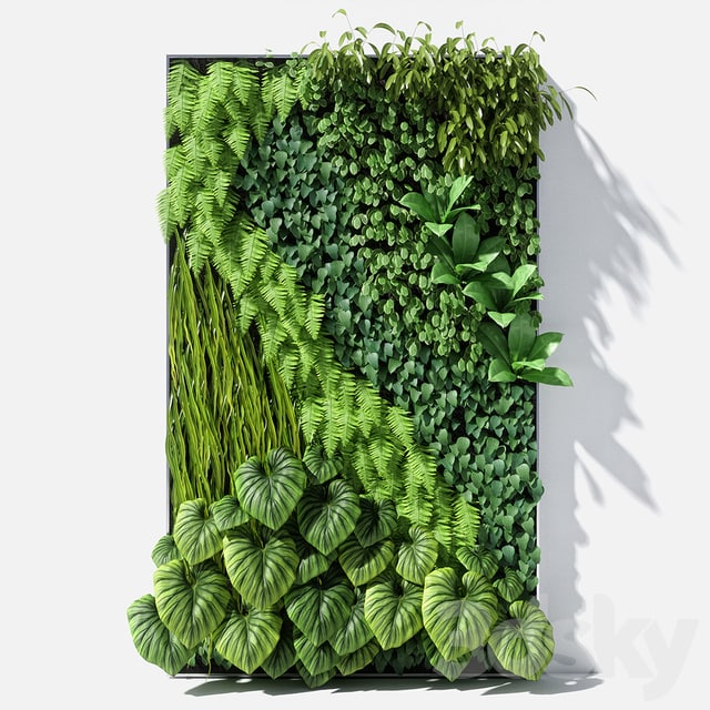 vertical garden