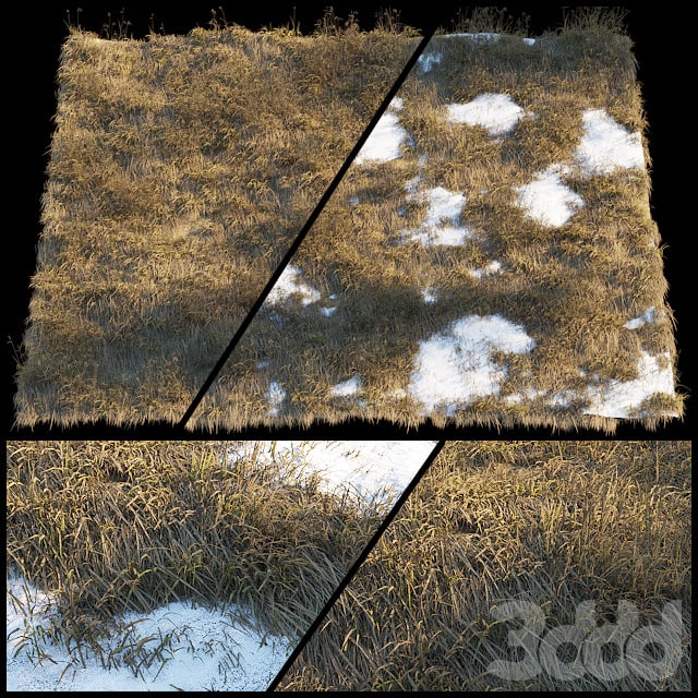 Dry grass | Thaw pollen